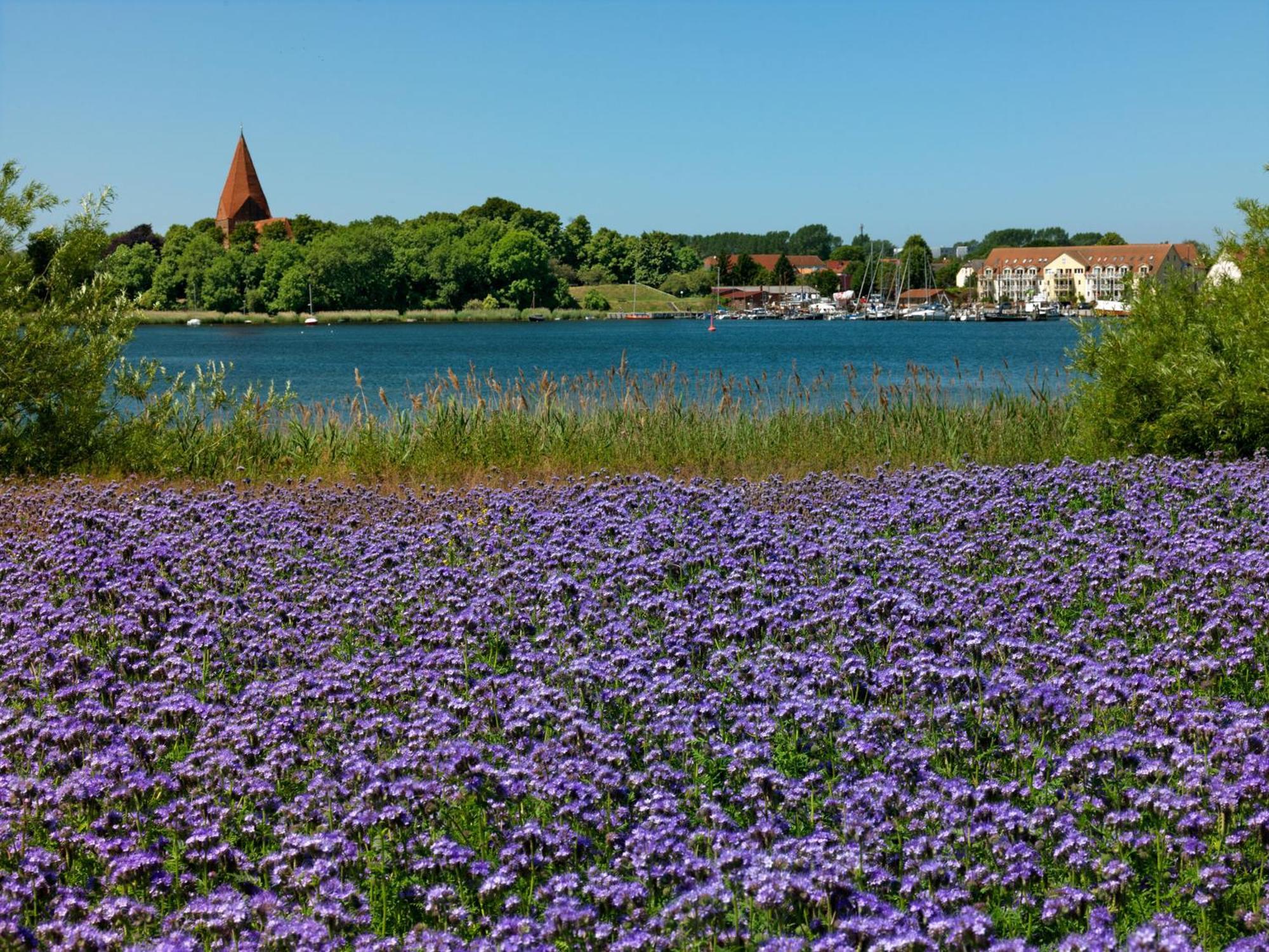 Апартаменты Residenz Am Yachthafen Windspiel Kirchdorf  Экстерьер фото